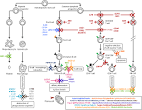 Correlagen Immune Disorders