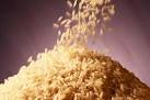 India's basmati rice exports likely to rise by 30% in FY' 10 ...
