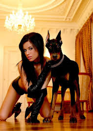 http://t3.gstatic.com/images?q=tbn:ANd9GcSzf3Cf0aXg-shebwQiG2qxmyFF6uUuLPkX9U_0GoKtiR099eFZ