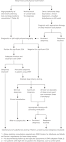 Excessive Daytime Sleepiness - March 1, 2009 - American Family ...