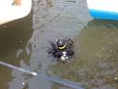 Tags: scuba diver (47) , newyork (0) , ny (0) , nyc (0) , poowater - via Daymix