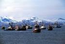 An Awkward Light: Overcast Reflections on Bristol Bay