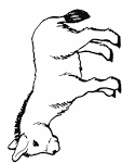 Donkey coloring page