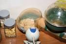 My Hamster Lucy  50  tracked with HamsterTracker
