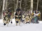 King won the 2006 Iditarod�his