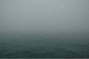 What is the Gray? » Erika Liodice - Author's Website