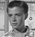 Tim Considine as Spin Evans
