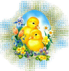 http://t3.gstatic.com/images?q=tbn:ANd9GcT-g57wTVAYAYZwyN63onrrO5SmywglstQWJvw_M6DKVZ_i5LIc