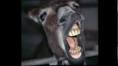 picture of Seyd Karim Jokes part1 Facebook Timeline Profile  images wallpaper