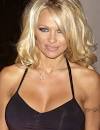 pam anderson porn
