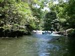 Birds of Honduras: Habitats in Honduras