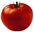 Tuscan Tomato &amp; Bread Salad