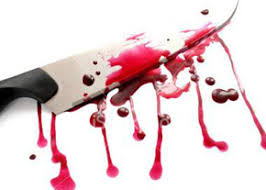 http://t3.gstatic.com/images?q=tbn:ANd9GcT01Wapm9_NORu4BR1A2ZFvo5Xo4gDOGdUghKmti9GPp2QO-Xzm3Q