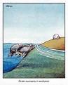 Animal Rights Stand   Animal Humor Jokes Funnies Comics