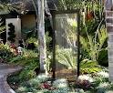 Ideas in Garden Decor
