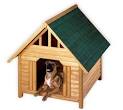 The Best Dog House | Clickpets