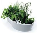 http://i-cdn.apartmenttherapy.com/uimages/ny/imgzoom-Herb-garden-Royal-VKB-refvt830-dgw.jpg