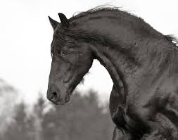 [verlinkte Grafik wurde nicht gefunden]