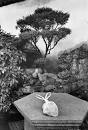 Marc Riboud