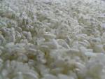 File:<b>Aspergillus oryzae</b> (麹).