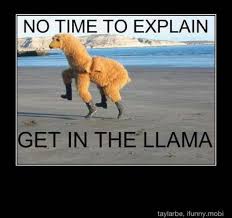 http://t3.gstatic.com/images?q=tbn:ANd9GcT17JVTy9ZfU21tBKELNpDaqQ9ordvb81stQr9Te8jvX1vqsHZNGXRPIbyYWQ