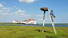 Osprey Conservation, Osprey Platforms, Osprey Photos - New Jersey ...