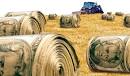Will Farm Subsidies Be the Tea Partiers' Achilles' Heel?