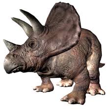 http://t3.gstatic.com/images?q=tbn:ANd9GcT1X_Ek5tDOkr-d2Q8y8gXU76AeQaZveBiznCWpXjD7utkskYkm