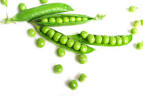 <b>Petit pois</b>