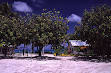 250px-Tuvalu_-_Funafuti_-_ ...