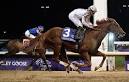 Live Analysis: Drosselmeyer Wins Breeders' Cup Classic - NYTimes.
