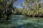 Tropical habitat natural - via Daymix