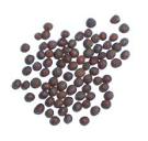 Black Mustard Seed | Rai [