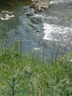 Sids' Weir on the River Witham - via Daymix