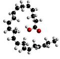 Docosahexaenoic acid (DHA), What isDocosahexaenoic acid (DHA ...