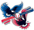 Interleague play - Wikipedia, the free encyclopedia