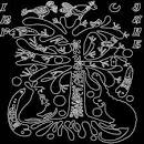 The Indie Rock Playlist   Playlists
