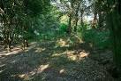 running off picture at right. Round Clump is used for rearing pheasants. - via Daymix