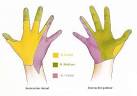 <b>Neuropatias</b> por atrapamiento