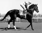 Ruffian_Great_Photos