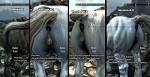 What the Skyrim looks like to PC Owners [Fixed](NSFW) : skyrim