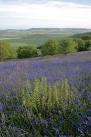 near to Newton Under Roseberry, Redcar And Cleveland, Great Britain - via Daymix