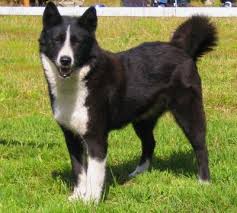 images?q=tbn:ANd9GcT3aOOzN_1nUFTGu6Wb41MWJlJLUWEm4hPmpmQ3mVl08QwMGICUyQ