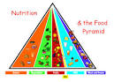 Nutrition for Kids
