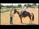 free horse sex tape