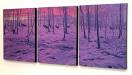Canvas Prints | Art, Canvas &amp; Painting
