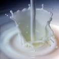 China orders overhaul of dairy industry amid milk scandal | TopNews