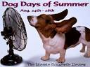 Welcome to the Dog Days of Summer!