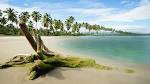 4 Beautiful Nature Dreamscenes for Vista Crazy Themes