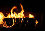 Arizona, the FireLight Bed